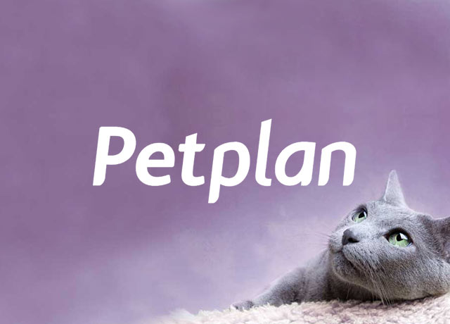 How Petplan Uses Enabler to Automate Complex Email Lifecycle Journeys