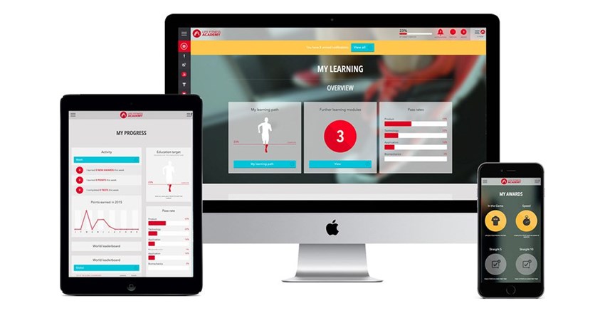 enterprise web development