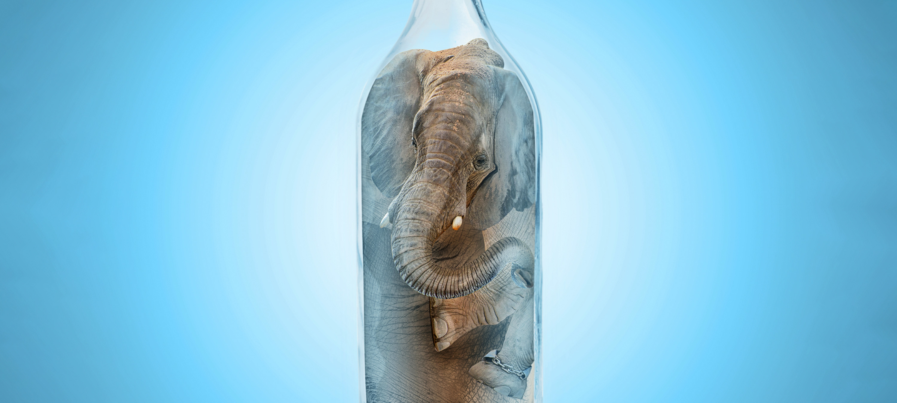 Beyond "One Size Fits All": The Power of Email Segmentation