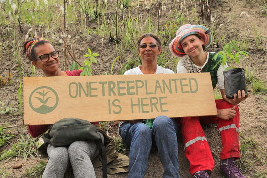 reforestation initative