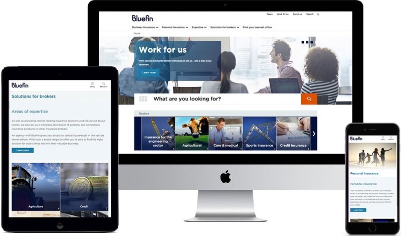 Bluefin group website